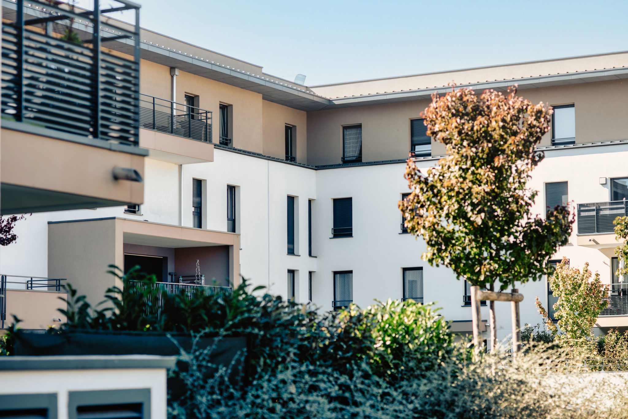 Villa Elaia